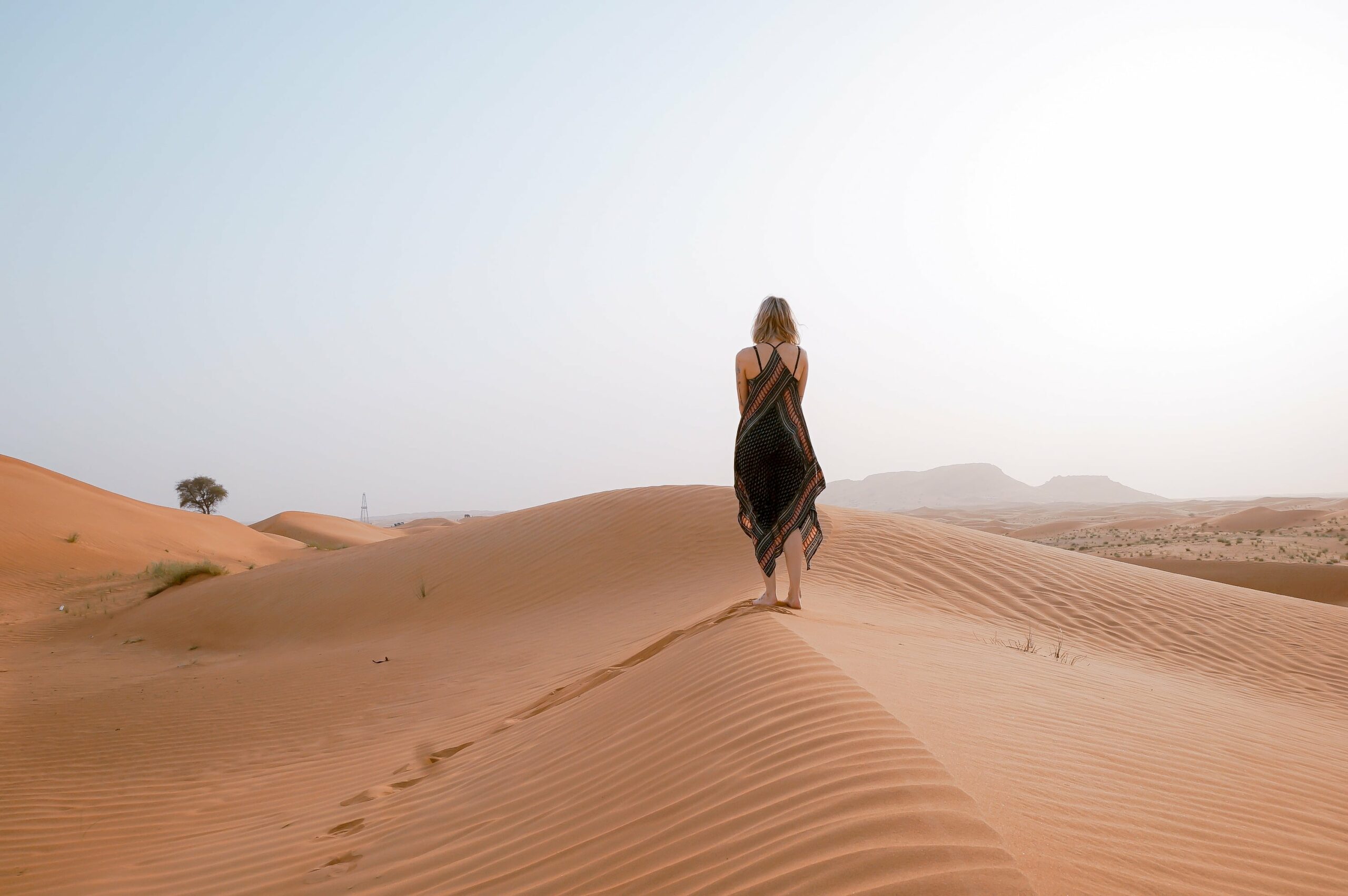 Is It Worth Doing Desert Safari In Dubai?