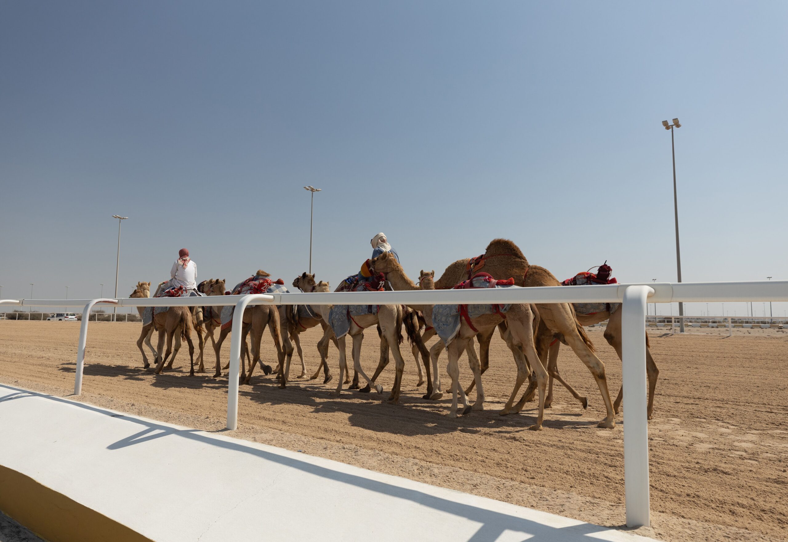 What Do You Wear To Camel races?