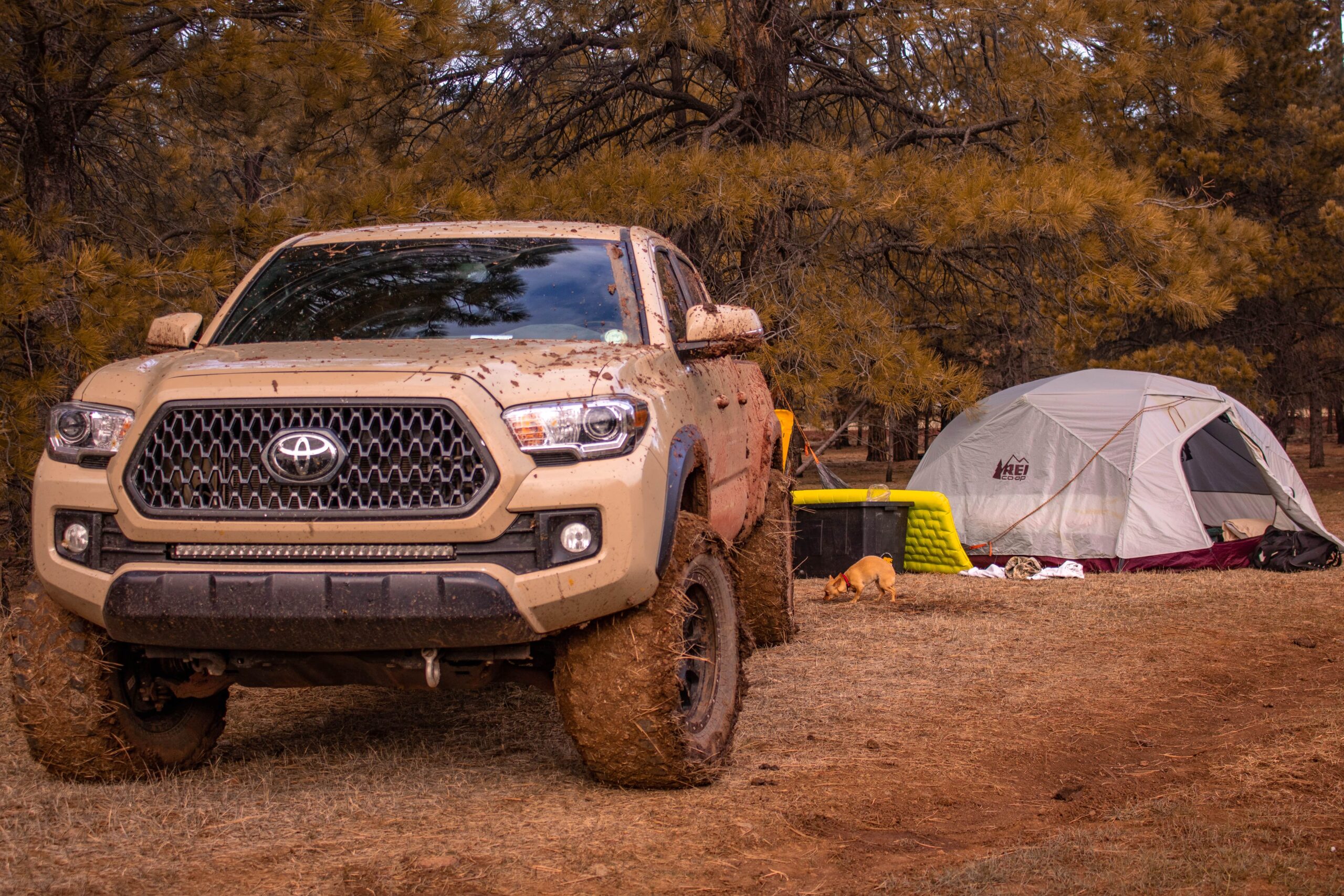 Which Tacoma Model Has the Most Rear Legroom?