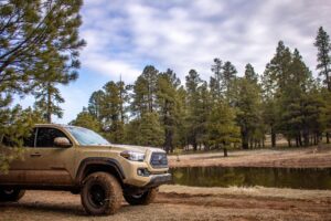 How many catalytic converters are in a Toyota Tacoma